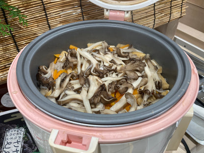 本川原木舞茸（生）